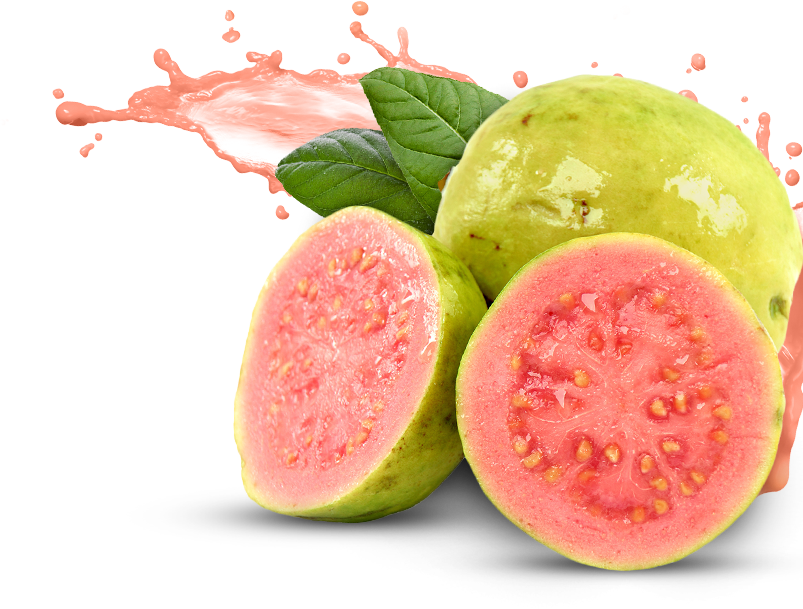 Guava Png Pic - Guava Fruit Png (803x609), Png Download