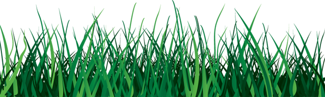 Grass - Transparent Background Grass Gif (662x198), Png Download