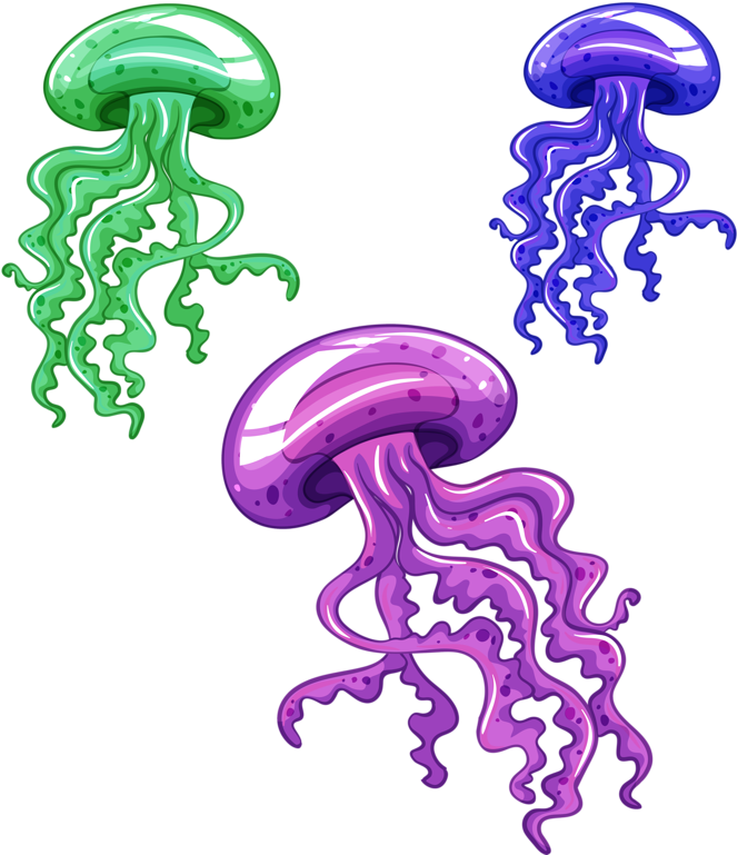 Hbdv S F Png Clip Art And - Cartoon Sea Fish Png (694x800), Png Download