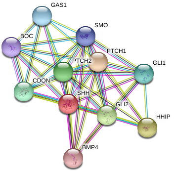 Circle (976x383), Png Download