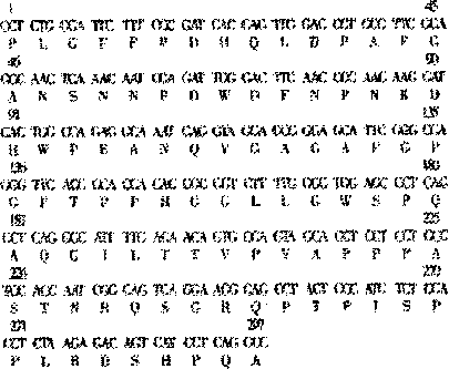 Nucleotide And Derived Amino Acid Sequence Of - Poetry (405x333), Png Download