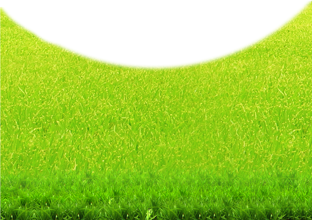 Lawn Green Grasses Grassland Wallpaper - Lawn (1080x999), Png Download