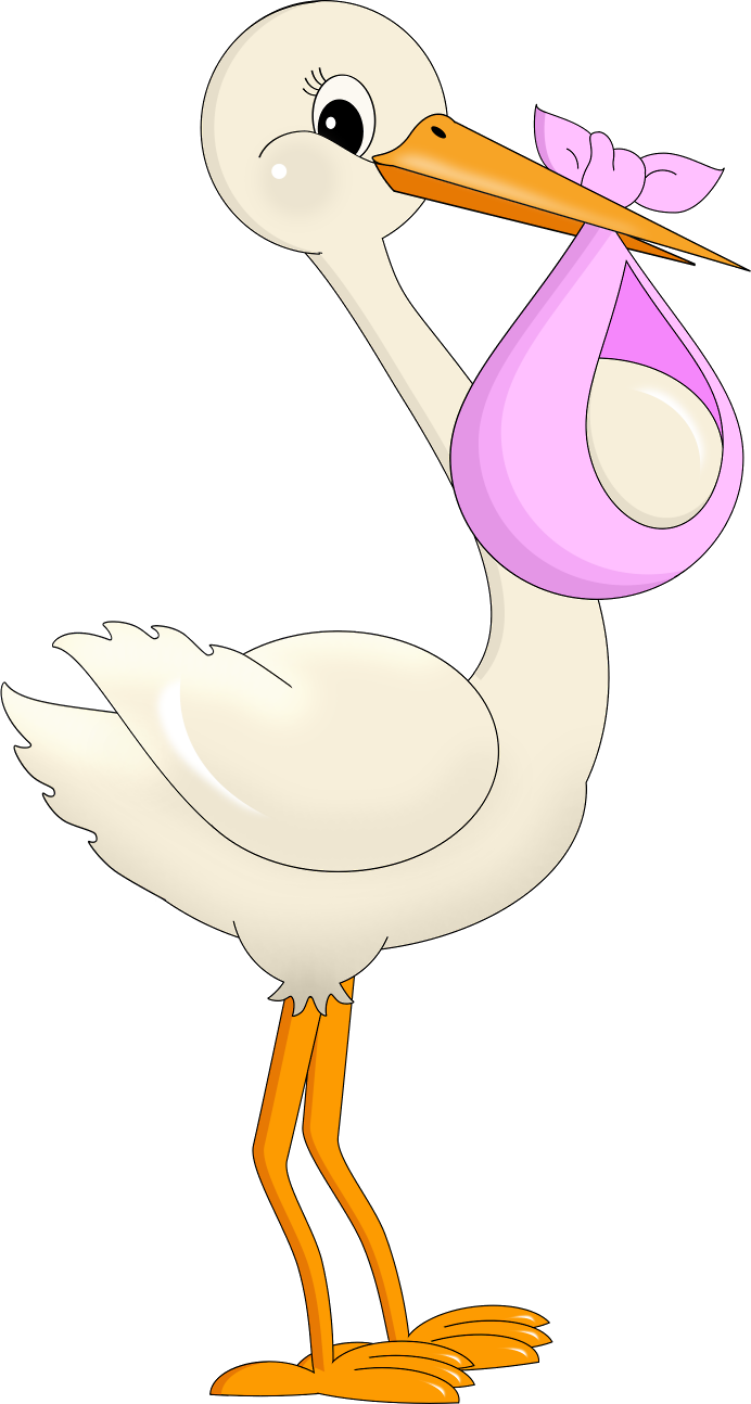 Dibujo De Cigueña Para Baby Shower (692x1294), Png Download