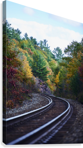 Railroad Tracks Through An Autumn Coloured Forest - Printscapes Wall Art: 24" X 36" Canvas Print - Railroad (289x511), Png Download