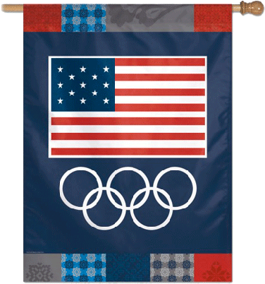 Usoc Olympic Rings Banner - Usa Flag Olympics (520x416), Png Download