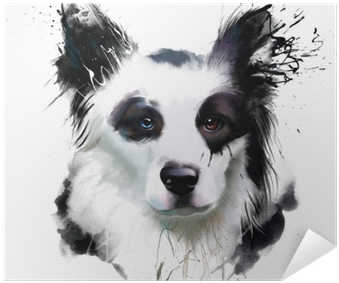 Watercolor Dog Portrait Of A Border Collie, Closeup - Collie (400x400), Png Download