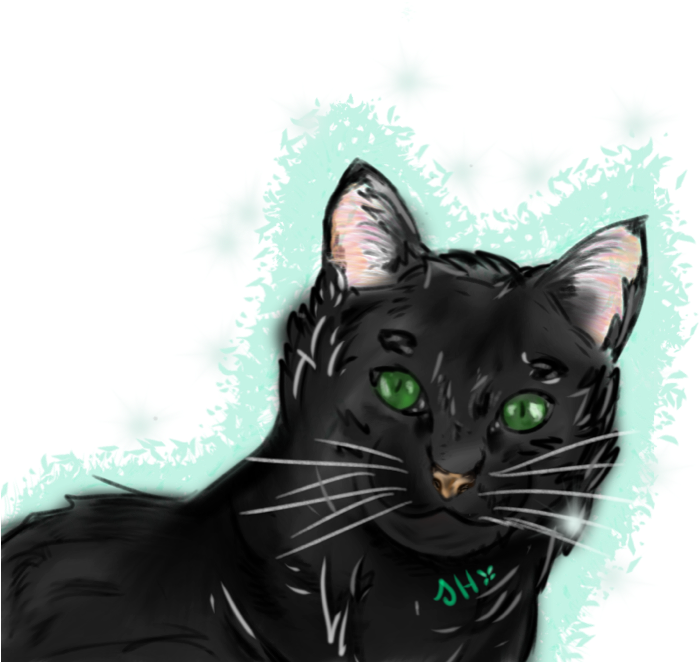 Re Black Cat W/ Green Eyes (700x800), Png Download