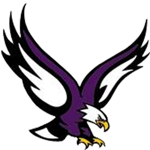Old Abe Logo Eagles Logos Pinterest - Eau Claire Memorial High School Logo (720x540), Png Download