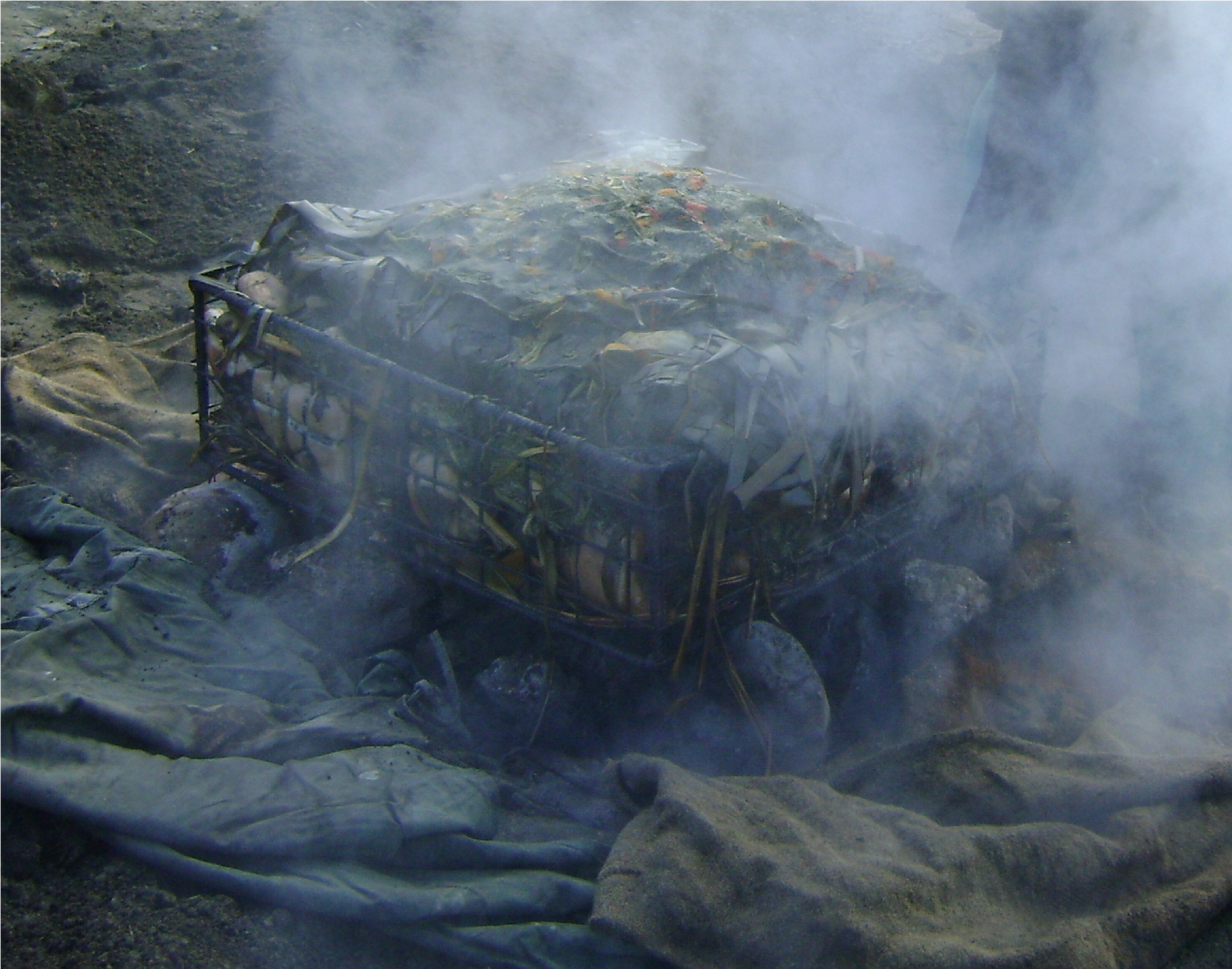 Earth Oven Cooked Food Ready To Be Taken To The Kitchen - Painting (3072x2304), Png Download