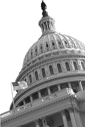 Capitol Dome Conference Hotel - U.s. Capitol (300x460), Png Download