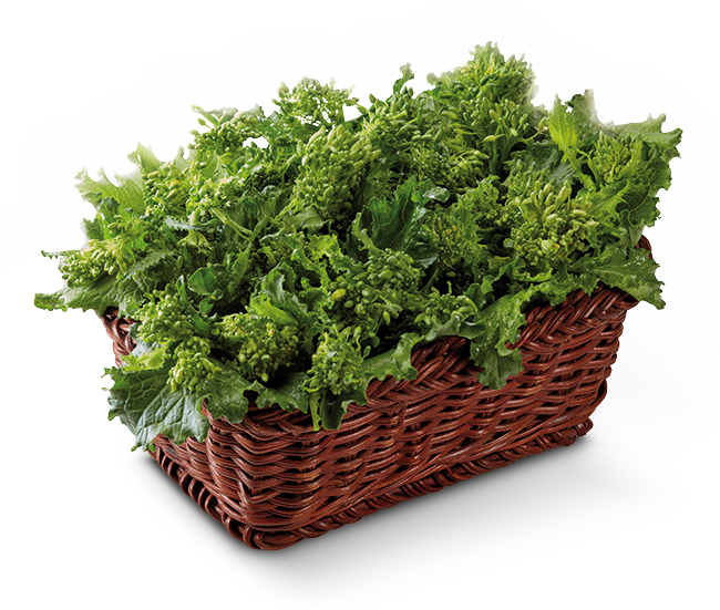 Frozen Food Gias - Parsley (750x550), Png Download