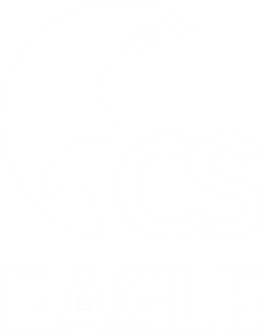 Download Free Eagle Symbols & Footprints For Millions - Eagle (400x400), Png Download