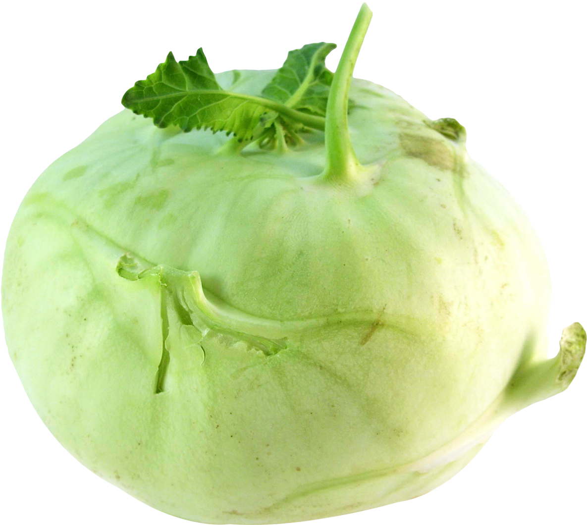 Kohlrabi Png (1252x1152), Png Download