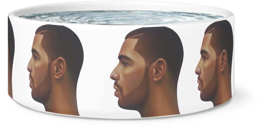 Drake Face Dog Bowl - Fitness Professional (1024x1024), Png Download