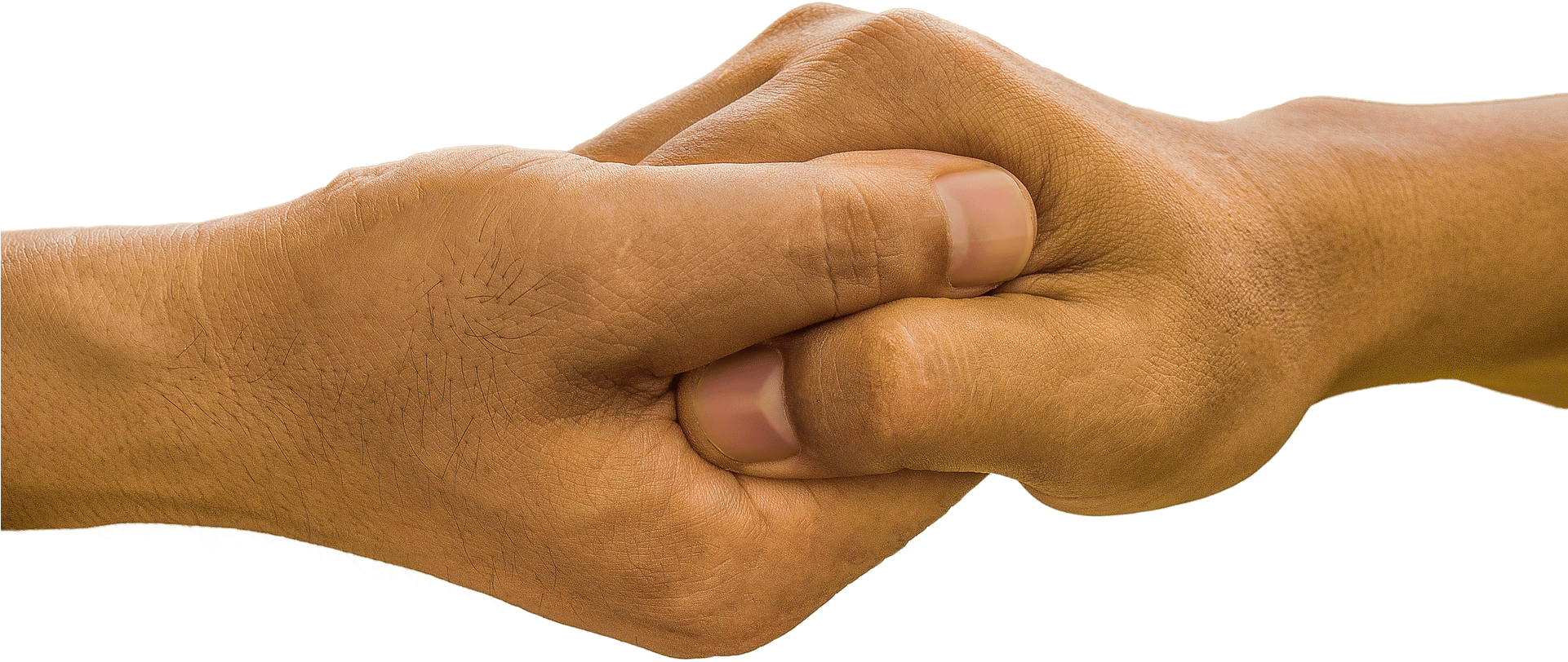 Helping Hands - Transparent Helping Hand Png (750x345), Png Download
