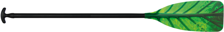 Chlorophyll C1 - Canoe (736x460), Png Download