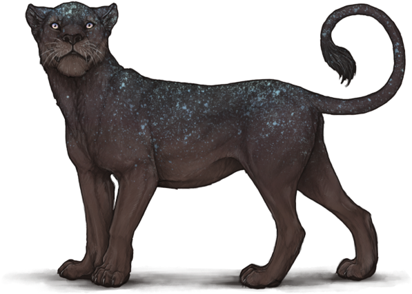 Nwrlyfn - Interstellar Lioden (640x500), Png Download