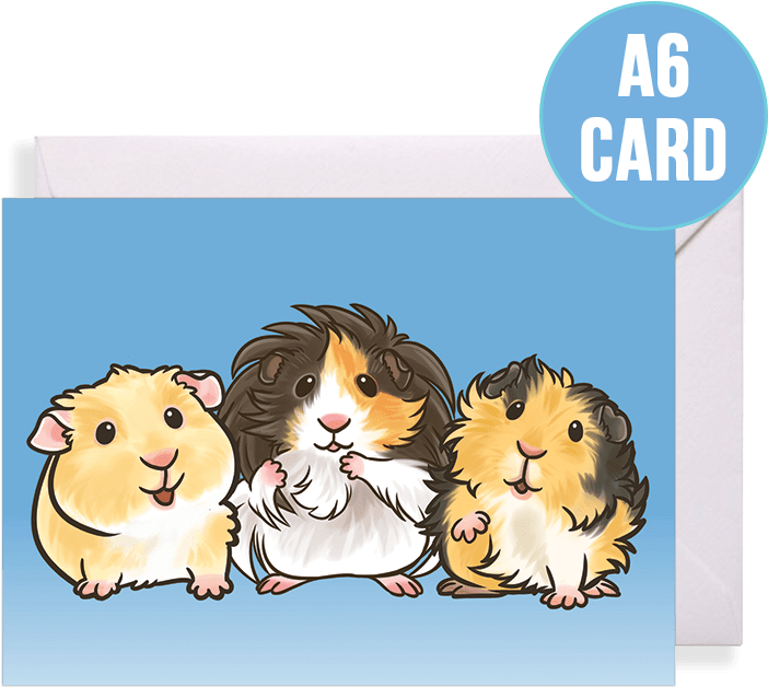 Multiple Breed Guinea Pig Card For Any Occasion - Cartoon (801x801), Png Download