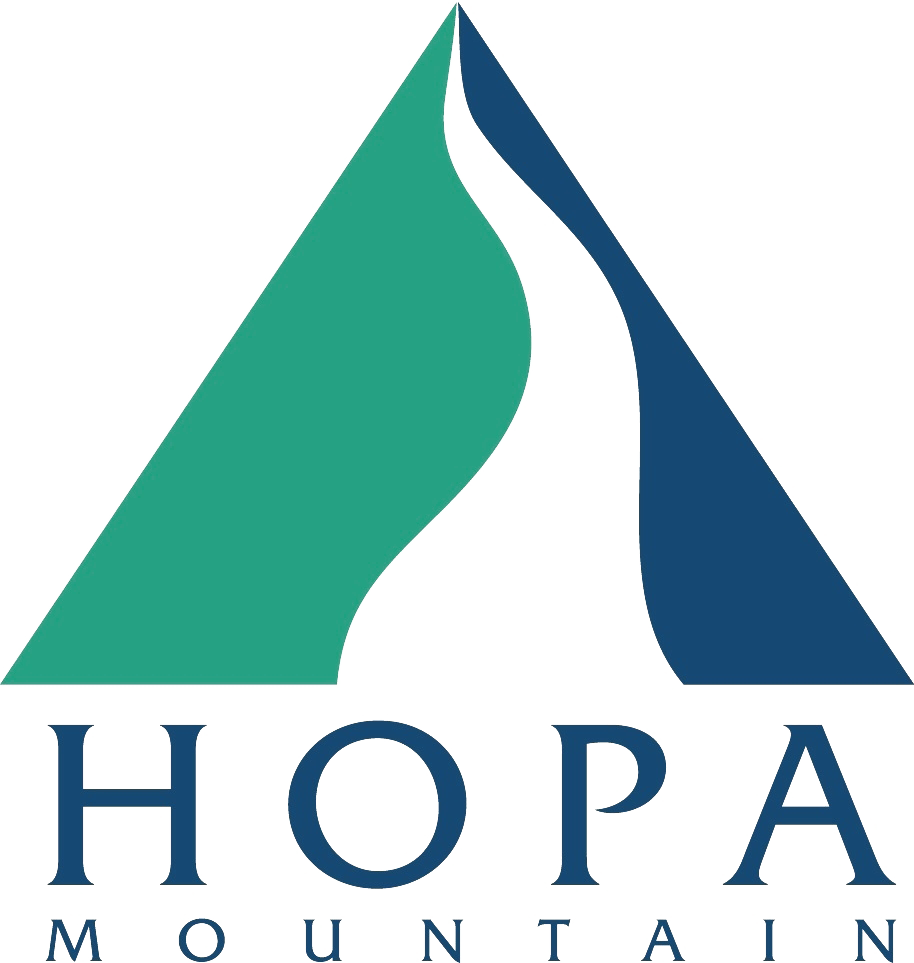 Martin Luther King, Jr - Hopa Mountain (914x963), Png Download