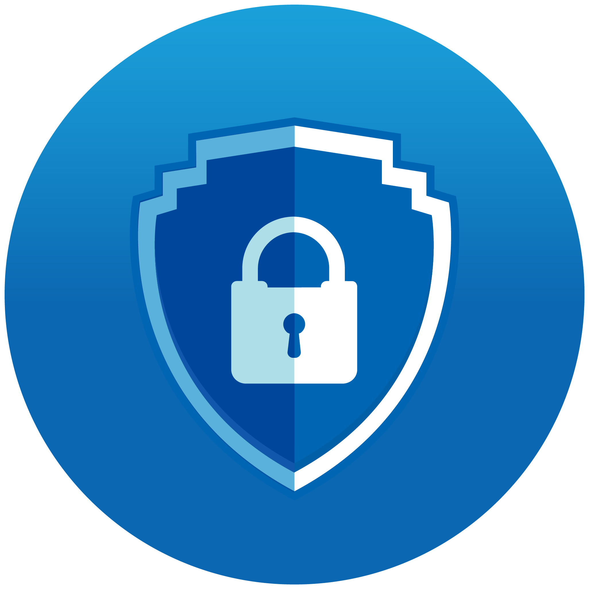 Image Gallery Information Security Icon - Information Security Icon Png (2051x2051), Png Download
