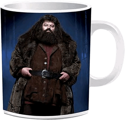 Hagrid Harry Potter Png (600x600), Png Download