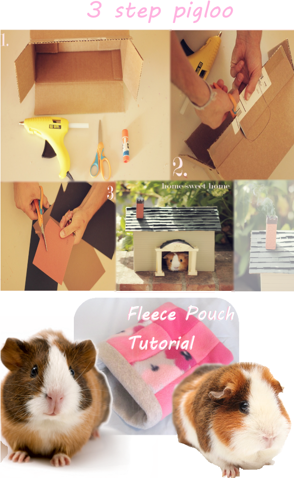 What Guinea Pig Wouldn't Want Their Very Own Homemade - Guinea Pig (600x1000), Png Download