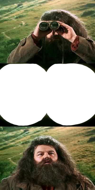 Copy Discord Cmd - Harry Potter Hagrid Meme (400x797), Png Download