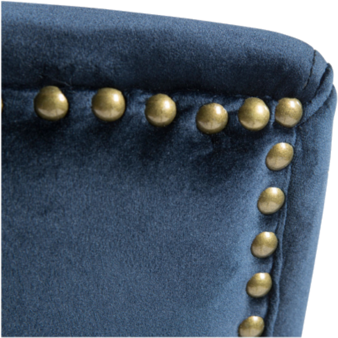 Adonia Dining Chair Dark Blue With Gold Trim - Macro Photography (800x800), Png Download
