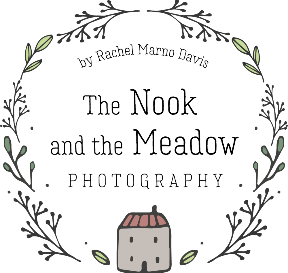 Meadow Png (1000x947), Png Download