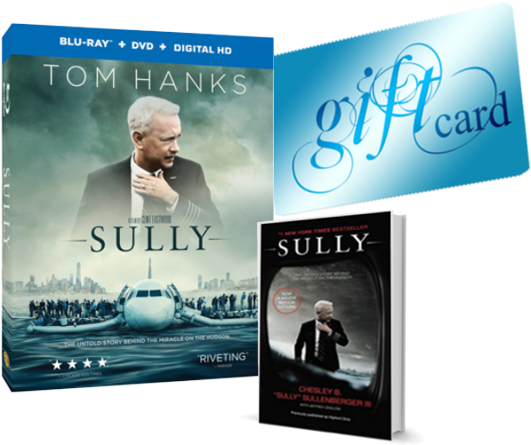 Sully Miracle On The Hudson (747x652), Png Download
