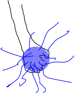 Chidori - Insect (1020x608), Png Download
