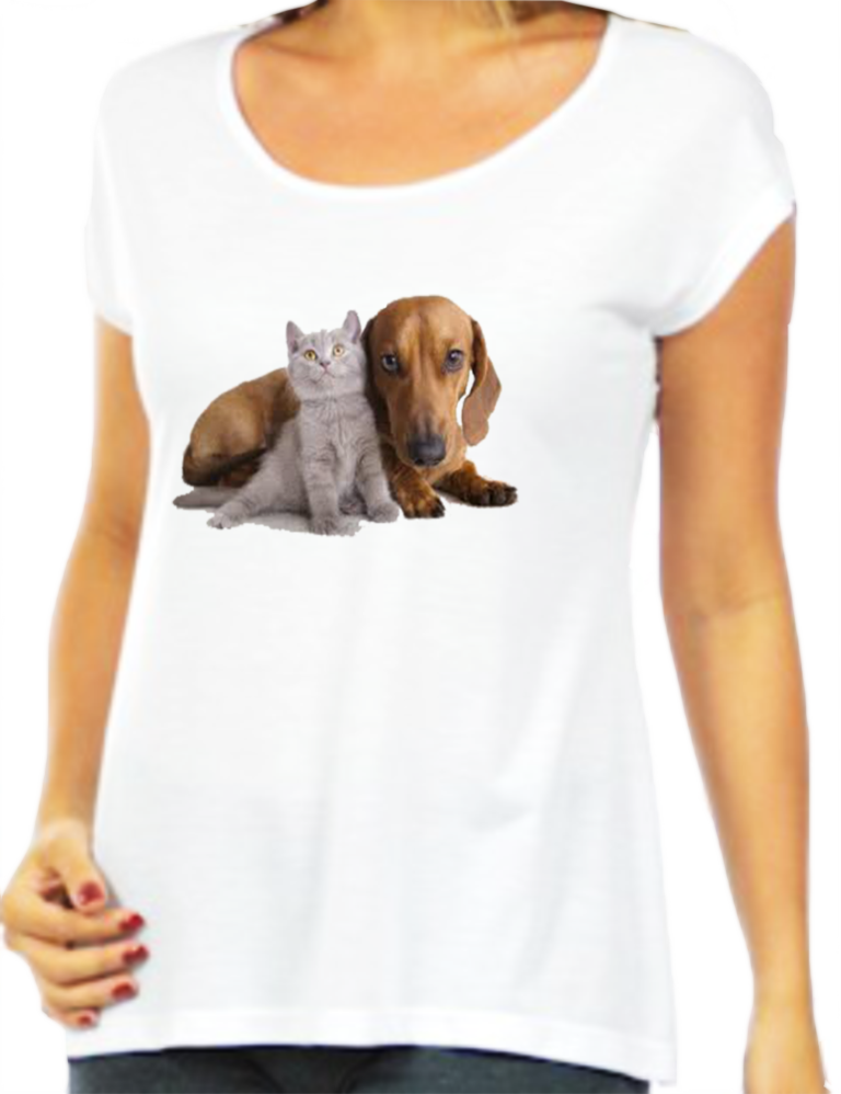 Cã£o E Gato Pro Site - Dog (768x998), Png Download