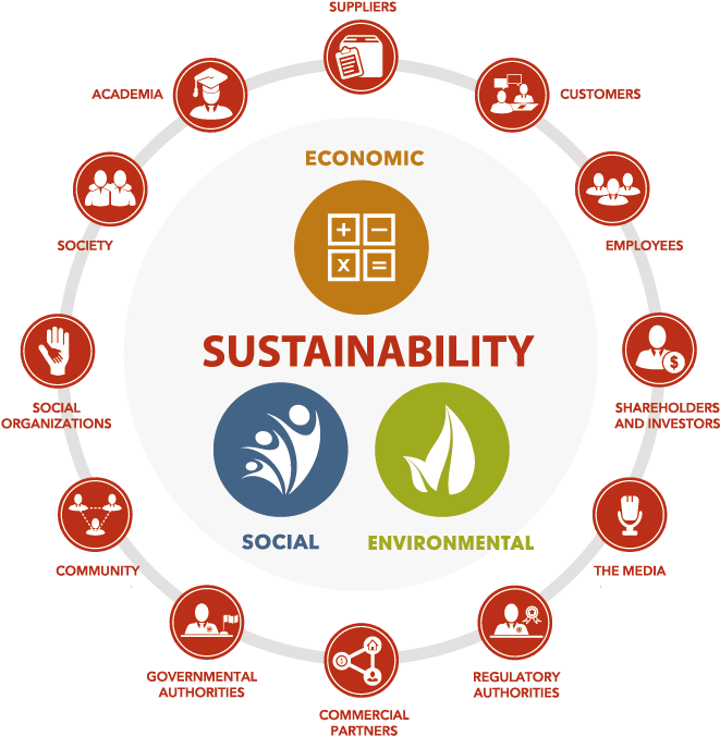 The Model Contains The Main Lines Of Action In The - Ejes De La Sustentabilidad (781x782), Png Download