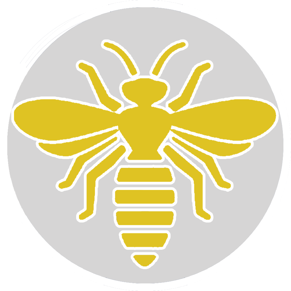 Contact Us Today - Hornet (959x959), Png Download