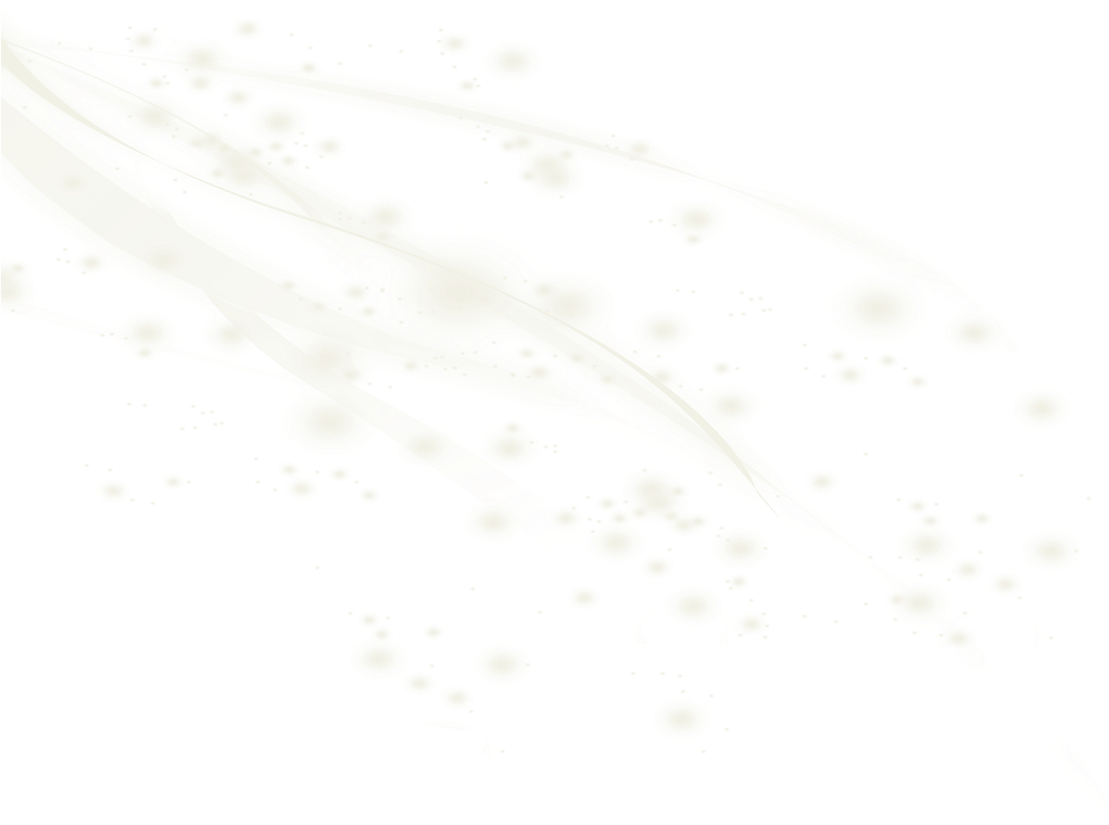 Download High Light Sara Y Chris Fondo De Bodas Blanco Png Image With No Background Pngkey Com