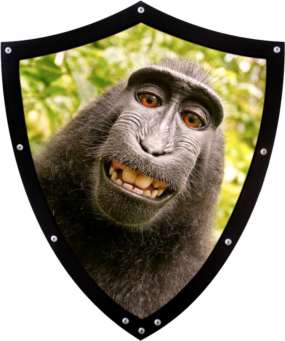 Funny Shields - David Slater Monkey (1000x1178), Png Download