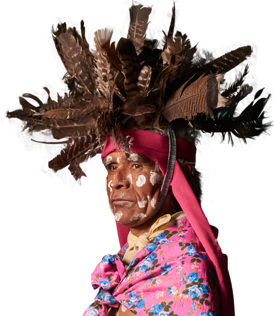 Resplandor Iguana - Carnival (874x1008), Png Download