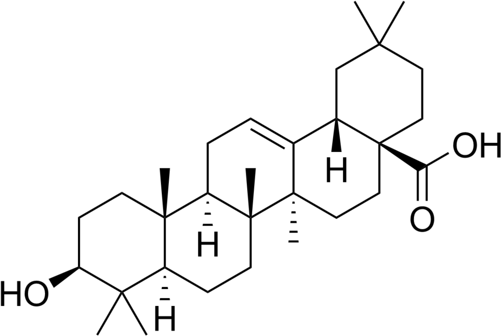 Oleanolic Acid - Maslinic Acid (1024x683), Png Download