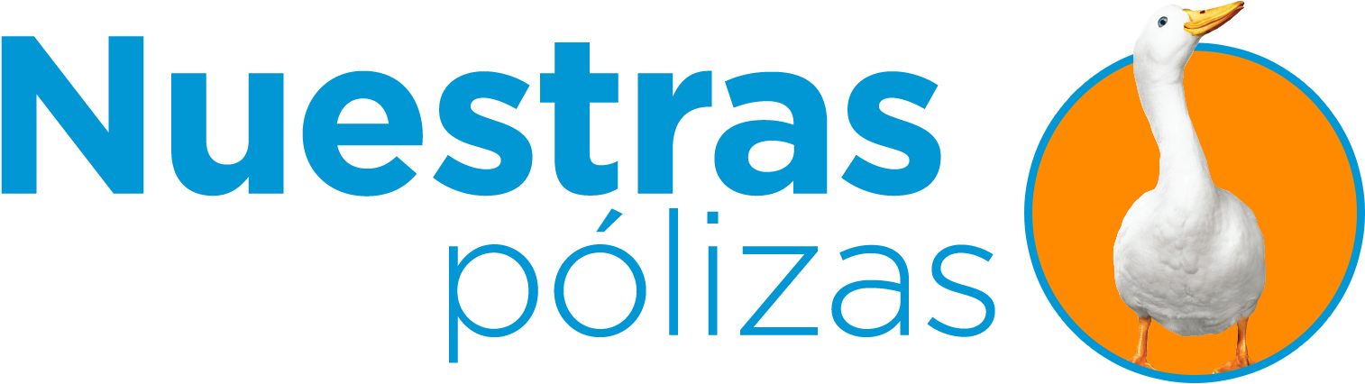 Nuestras Polizas - Graphics (1700x470), Png Download