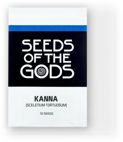 Kanna 10 Seeds Pack - Flash Memory (650x650), Png Download