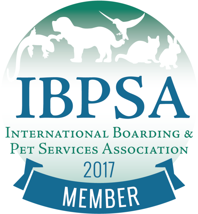 Napps Logo Ibpsa Active Member Badge 20174 - Poster (800x800), Png Download