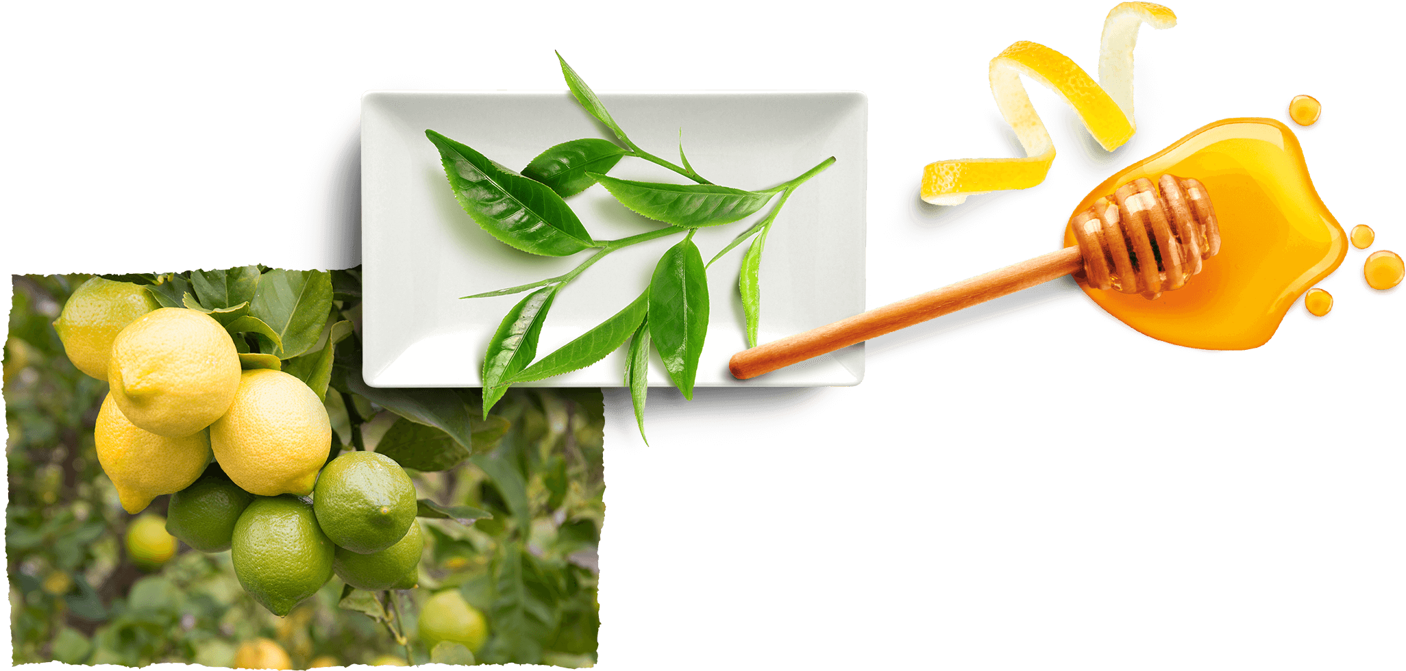 Antioxidant Support * - Key Lime (2506x1324), Png Download