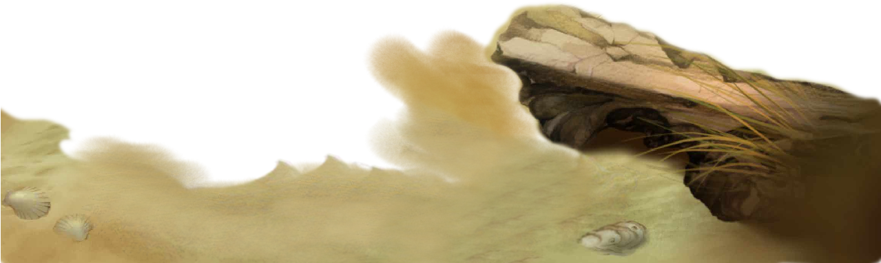 Beach Huts, Beach Sand - Beach (1280x407), Png Download