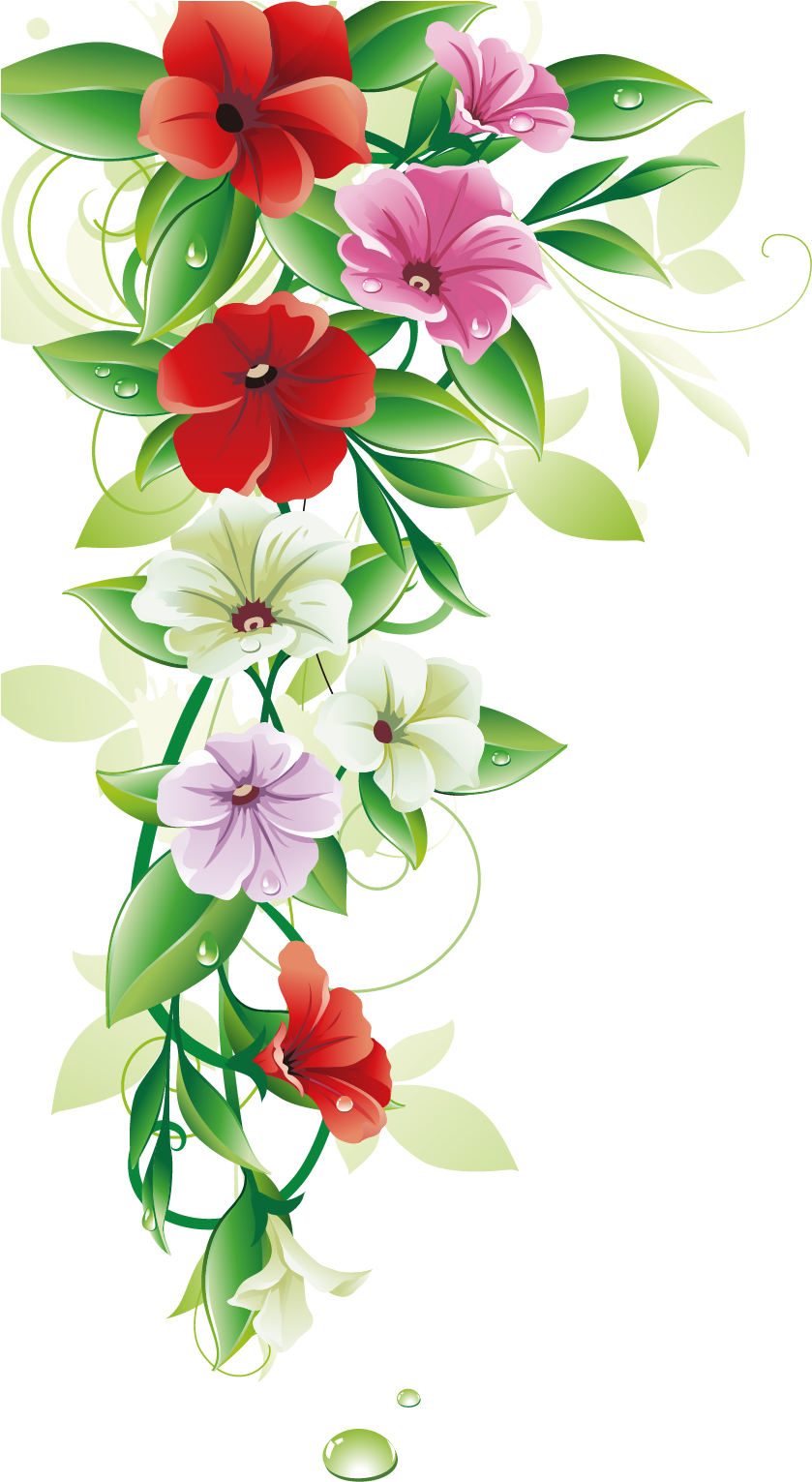 1166 X 1654 9 - Flower Border Vector Png (1166x1654), Png Download