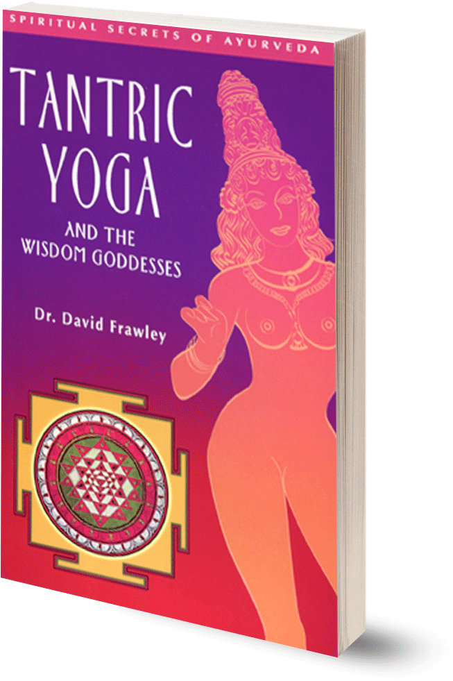 Tantric Yoga And The Ten Wisdom Goddesses - Tantric Yoga And The Wisdom Goddesses (999x1001), Png Download