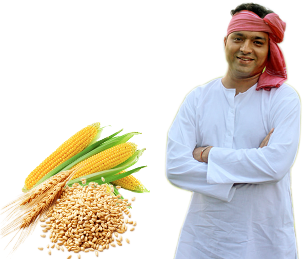 Whole Grain (620x520), Png Download