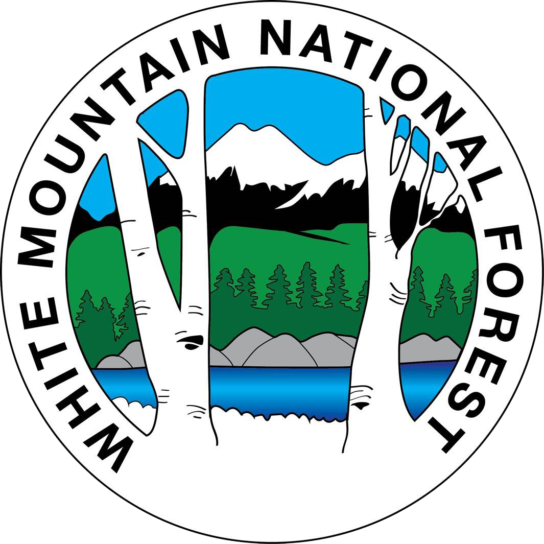 Hear The Forest &ndash Sound Snapshots Of White Mountains - Ely Pamatong (1065x1065), Png Download