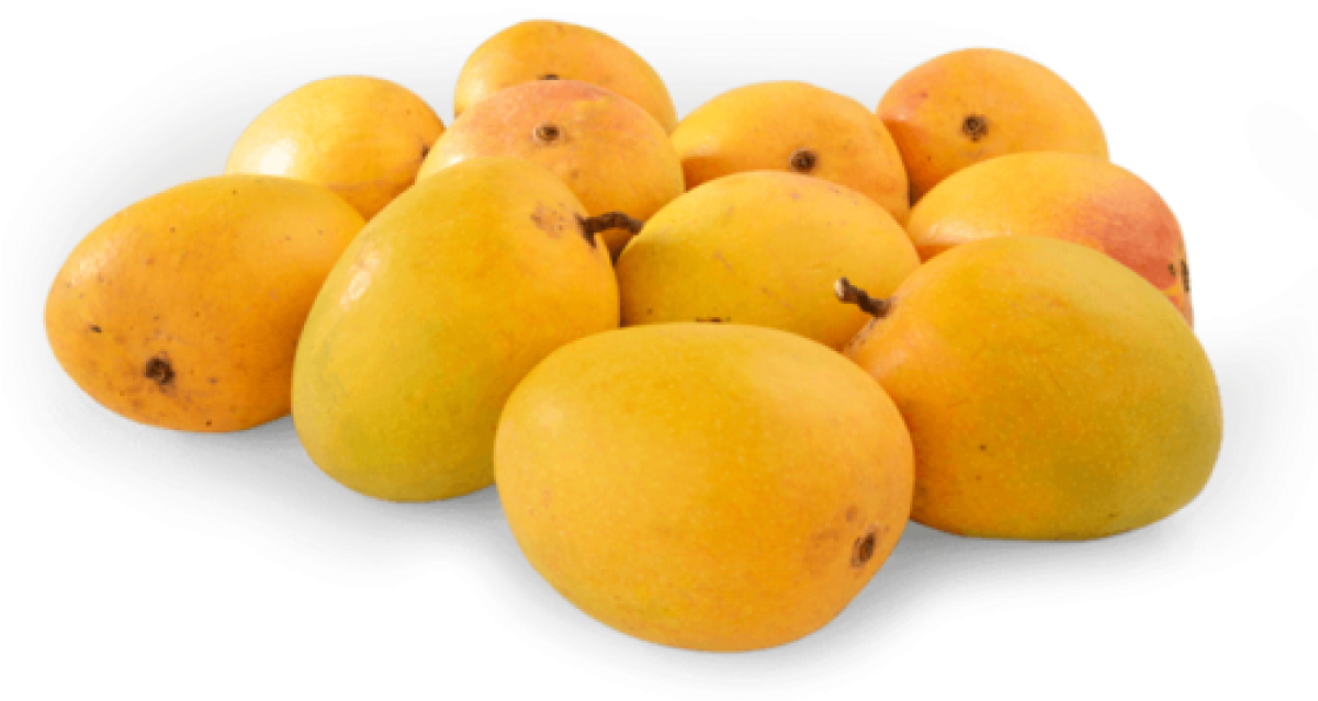 Mango Png Image & Mongo Clipart - Ratnagiri Mango (1200x1200), Png Download
