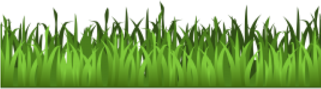 Grass Clipart Transparent Background - Clipart Transparent Grass (640x480), Png Download