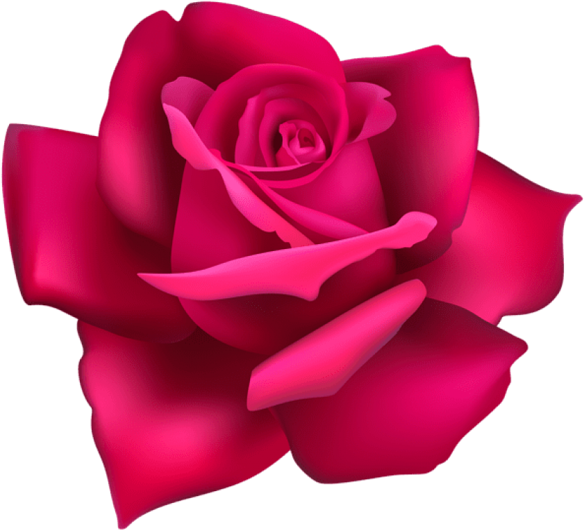 Free Png Rose Flower Pink Png Images Transparent - Portable Network Graphics (850x773), Png Download